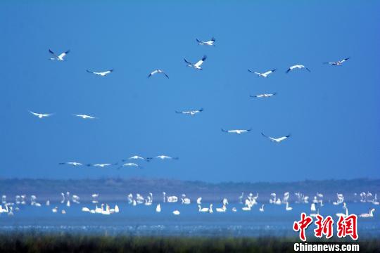 吸引了來(lái)自各地的游客和攝影愛(ài)好者前來(lái)。　段八一　攝